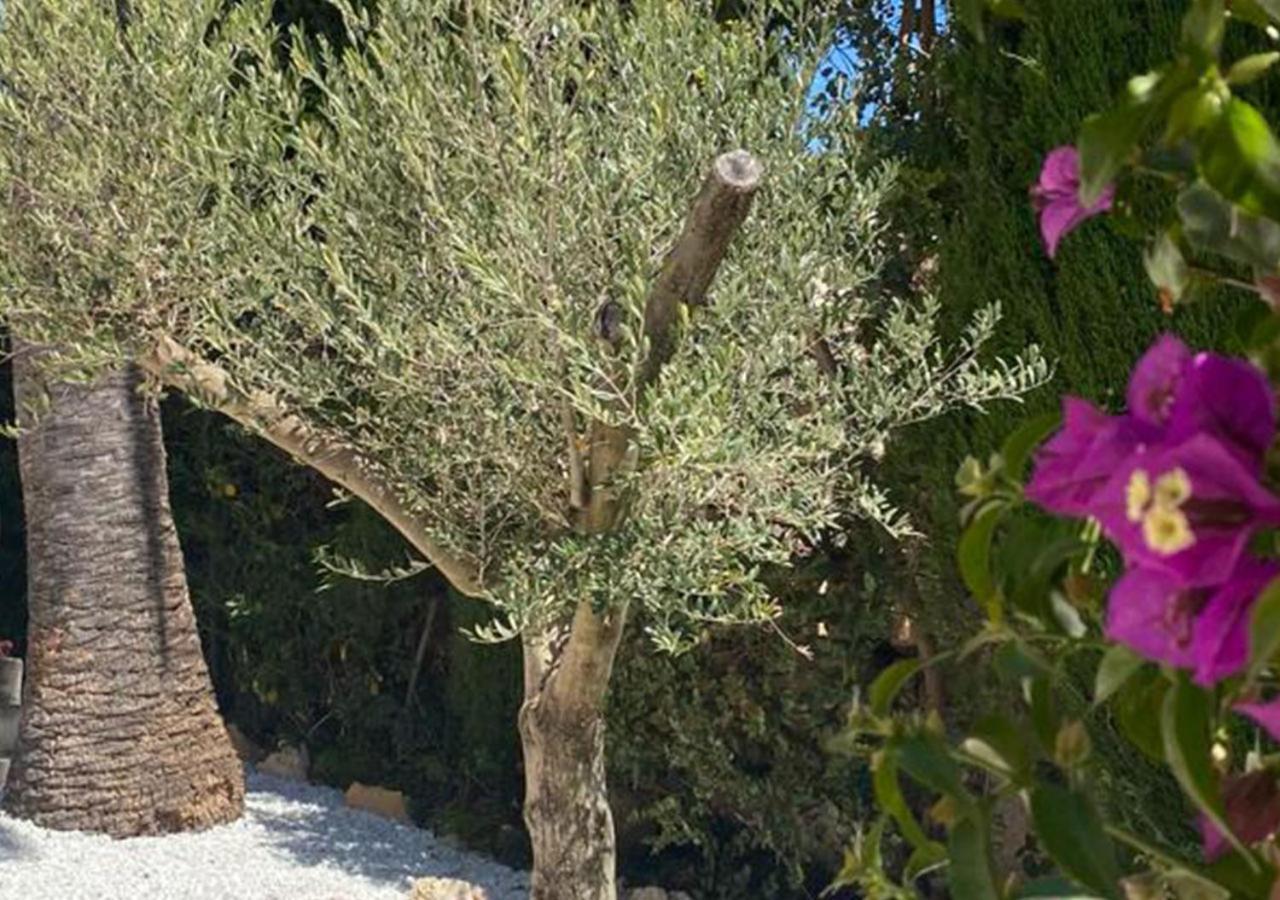 Holiday Villa Moraira Εξωτερικό φωτογραφία