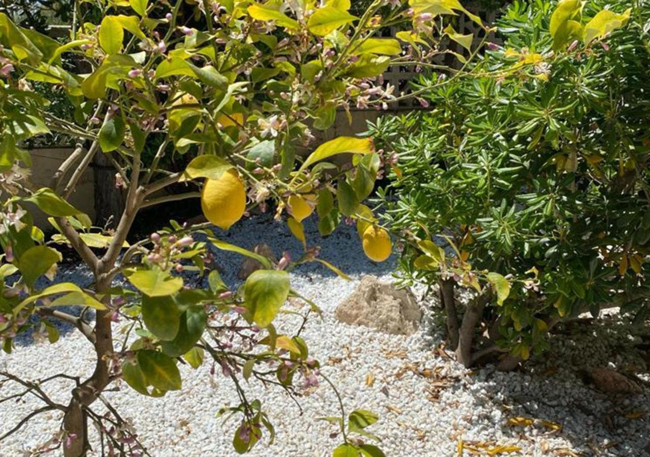 Holiday Villa Moraira Εξωτερικό φωτογραφία